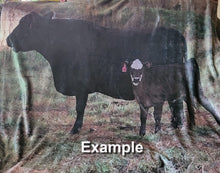 Load image into Gallery viewer, Fall Calf Blanket