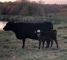 Load image into Gallery viewer, Fall Calf Blanket