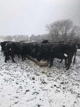 Load image into Gallery viewer, Winter Cows Blanket