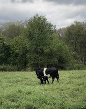 Load image into Gallery viewer, Oreo Blanket