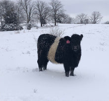 Load image into Gallery viewer, Winter Oreo Blanket