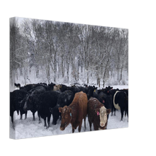 Load image into Gallery viewer, After Snow Storm Canvas