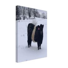 Load image into Gallery viewer, Winter Oreo Canvas