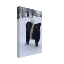 Load image into Gallery viewer, Winter Oreo Canvas