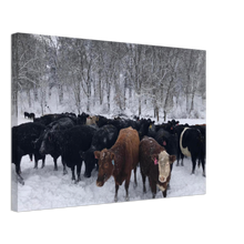 Load image into Gallery viewer, After Snow Storm Canvas