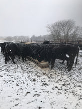 Load image into Gallery viewer, Winter Cows Blanket

