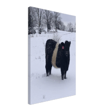 Load image into Gallery viewer, Winter Oreo Canvas
